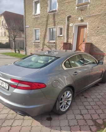 Jaguar XF cena 68600 przebieg: 168000, rok produkcji 2014 z Gniezno małe 436